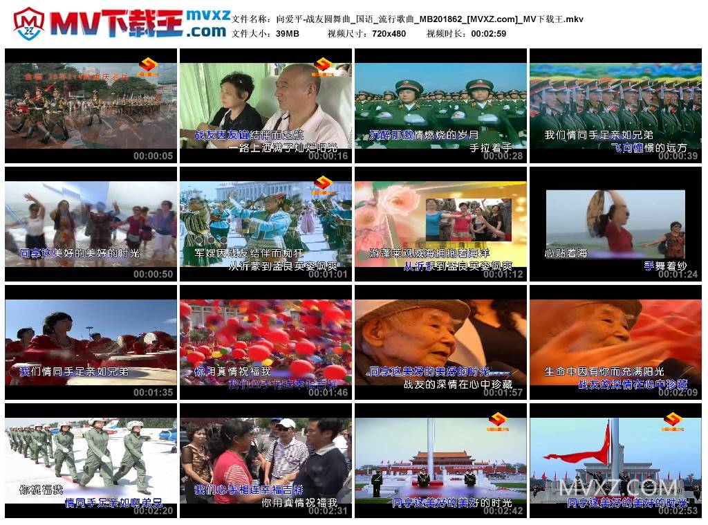 向爱平-战友圆舞曲_国语_流行歌曲_MB201862